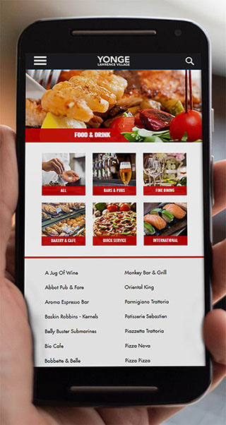 Yonge Lawrence Village BIA - Design and Development